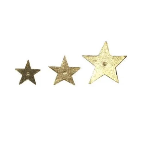 Brass Star Nail - Boncoeurs