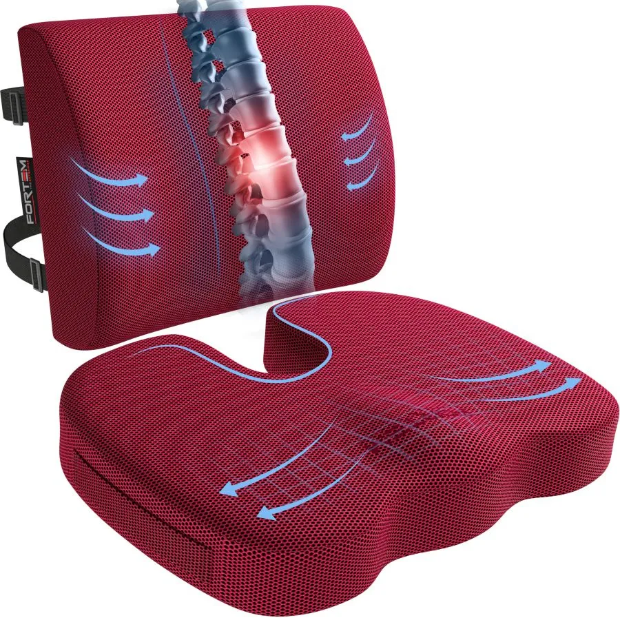 Lumbar and Seat Cushion XL - Breathable Mesh Cover