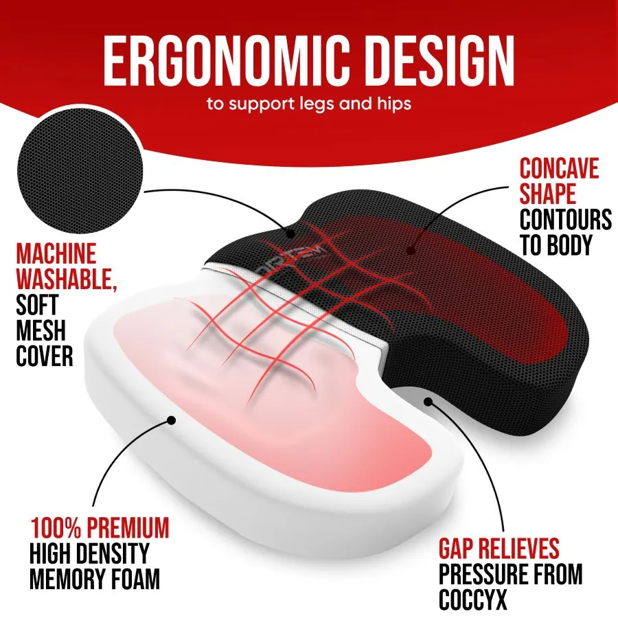 Lumbar and Seat Cushion XL - Breathable Mesh Cover