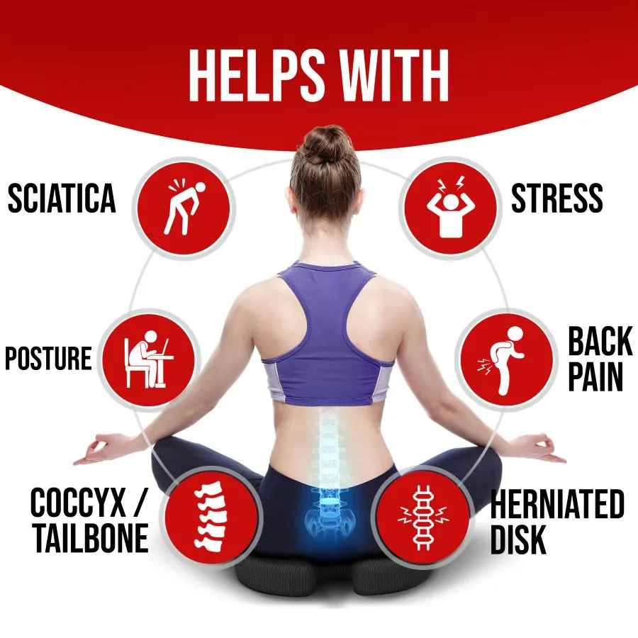 Lumbar and Seat Cushion XL - Breathable Mesh Cover