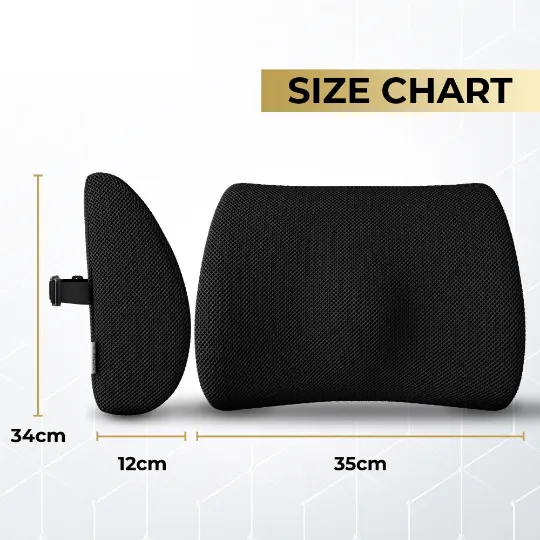 Medipaq® Memory Foam Contoured Back Support Cushion
