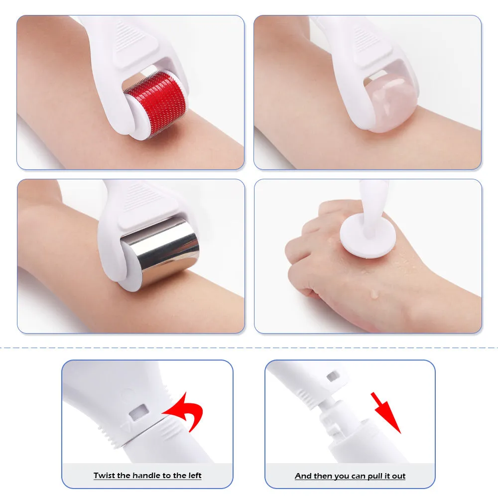 Microneedle Derma Roller Kit