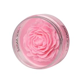 NIKK MOLE - Brush and Sponge Cleaning Soap